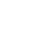Shopify Rebellion
